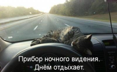 post-1976-0-45535100-1392620171_thumb.jpg