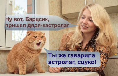 post-8928-0-45626900-1300387282_thumb.png