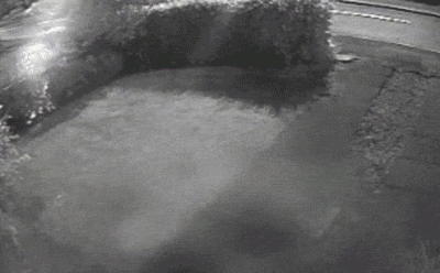 post-1976-0-31569900-1403899656_thumb.gif