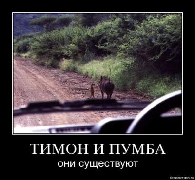 post-10955-0-61445900-1353921313_thumb.jpg