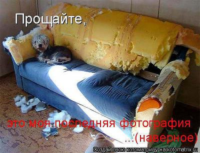 post-10955-0-73394200-1355076415_thumb.jpg